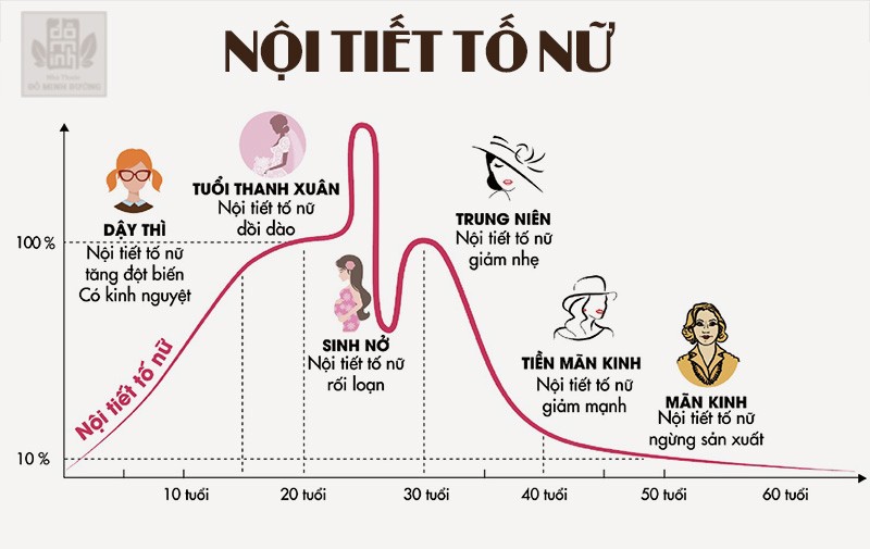 Nội tiết tố nữ