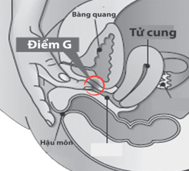 vi-tri-diem-G