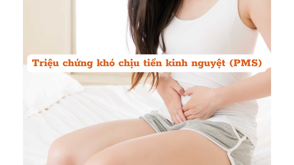 Triệu Chứng Khó Chịu Tiền Kinh Nguyệt (pms) (1)