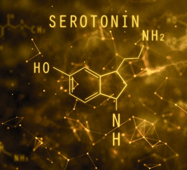 Serotonin