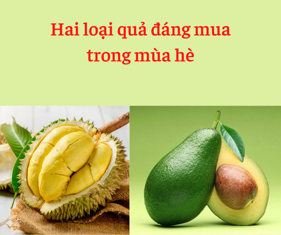 Hai Loại Quả đáng Mua Trong Mùa Hè