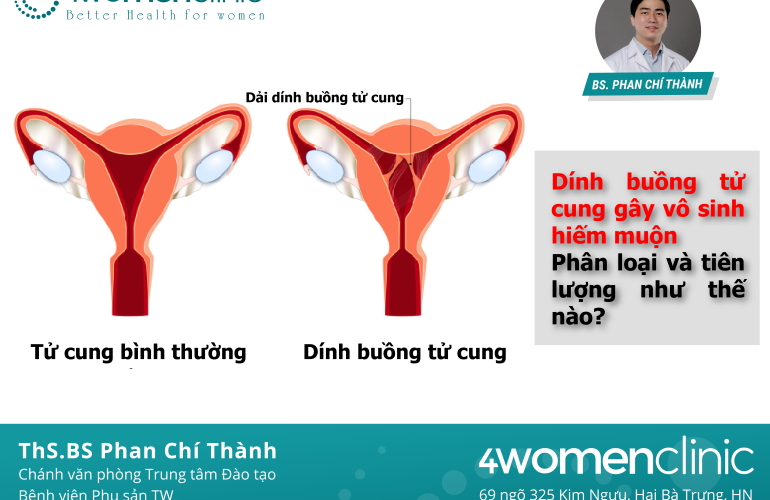 Phân Loại 01