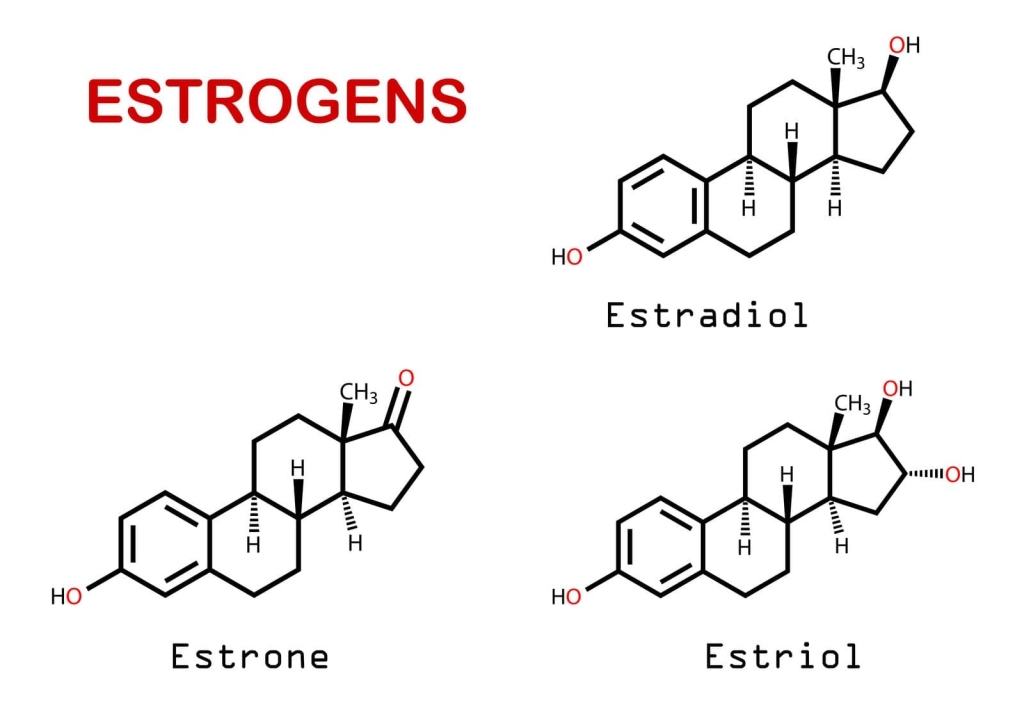 Estrogen